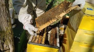 Расширение вторым корпусом вверх.