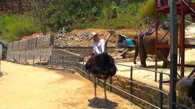 384. Далат. Что посмотреть за один день?