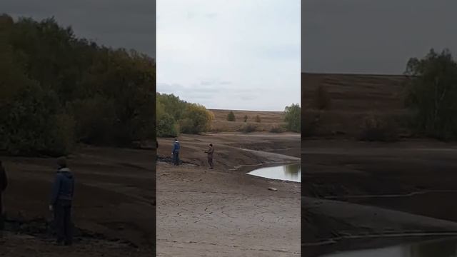 Это так наша власть заботится о нас.Ужас смотреть онлайн