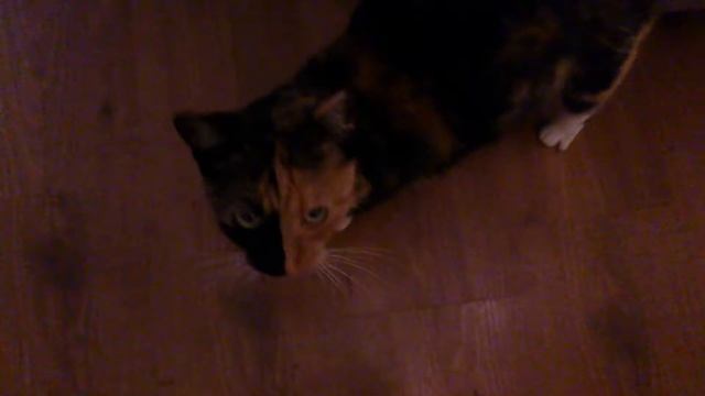 Jemy :) смотреть онлайн