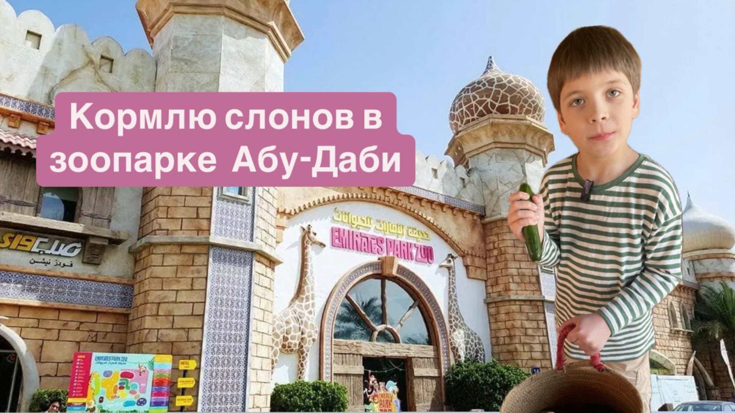 Зоопарк Абу-Даби! Abu Dhabi Zoo #эмираты #зоопарк #дубай #абудаби #emirates #zoo #abudhabi #dubai