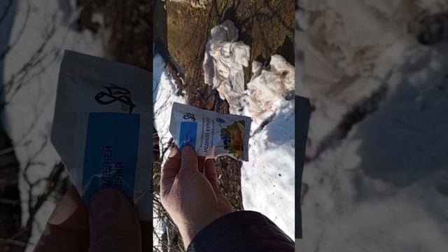 Как спасти дерево? Кора отслоилась. Кору погрызли мыши.