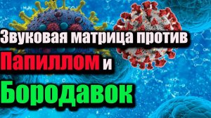 Звуковая матрица против Папиллом и Бородавок П.П.ГАРЯЕВ