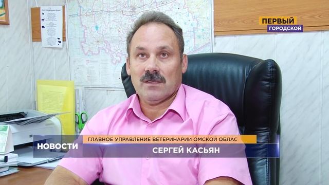 ОМСК: НОВОСТИ. О ГЛАВНОМ от 23.09.19 смотреть онлайн