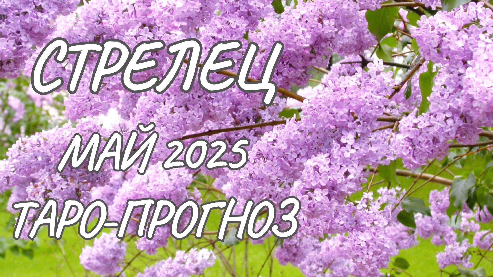 Стрелец ♐ Таро-прогноз на май 2025 года смотреть онлайн