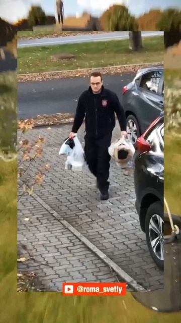 ВИРУСНЫЕ ВИДЕО / Енот в канализации смотреть онлайн