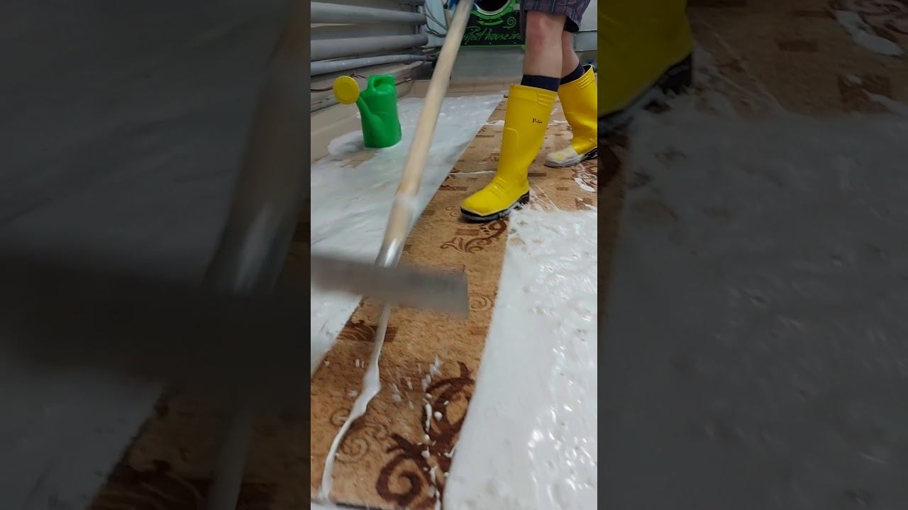 Стирка ковра (вертикальное видео для просмотра на телефоне) /Rug Washing (vertical Version)