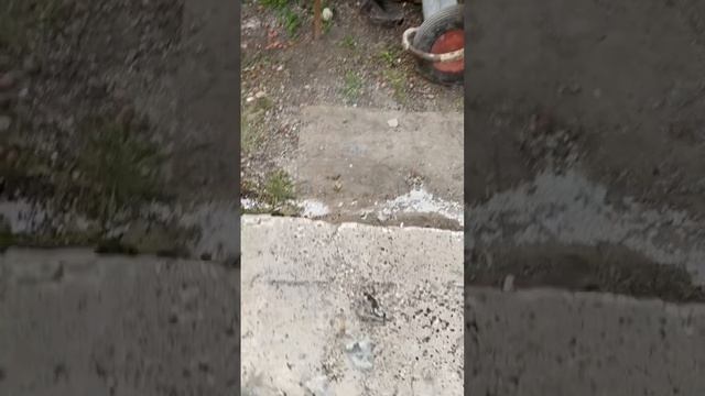 Плита из полистиролбетона смотреть онлайн
