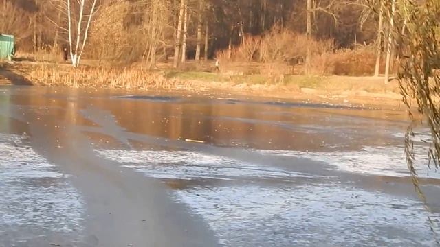017 смотреть онлайн