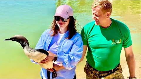 БОЛЬШОЙ ВЫПУСК на озеро спасенных птиц в Тайгане, даже министр Ольга Александровна улыбается! смотреть онлайн