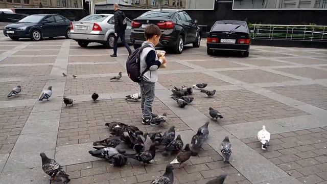 Сенная площадь смотреть онлайн