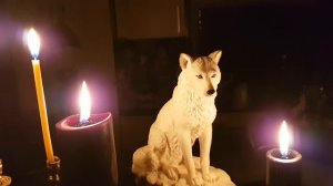 « МОЛИТВА ВОЛКА - ИСЦЕЛЕНИЕ «.... ДАРЮ ВСЕМ.