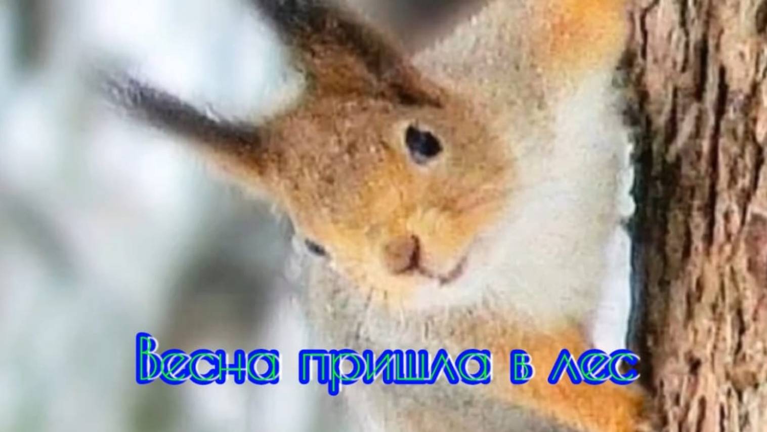 Весна пришла в лес.  Рассказ-сказка.   В.Рих.