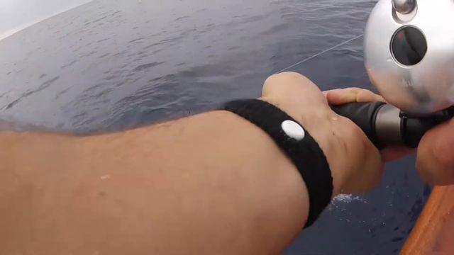 Catching Tuna Above The Surface!?! California Tuna Fishing Action! смотреть онлайн