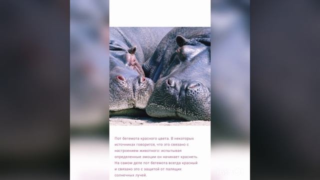 факт #2 смотреть онлайн