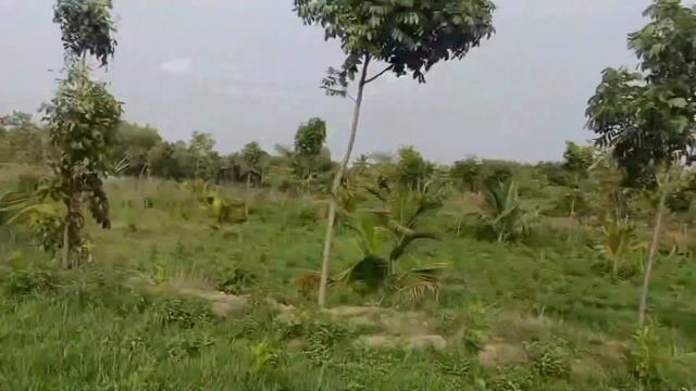 Low cost Ready farm house for sale at Mandya 🏕️🌴26 Km from Mandya town смотреть онлайн