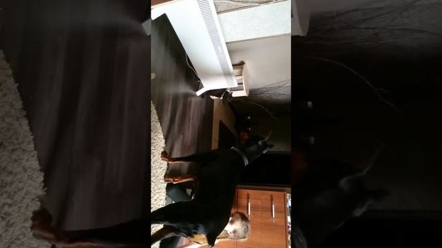 Бой) смотреть онлайн