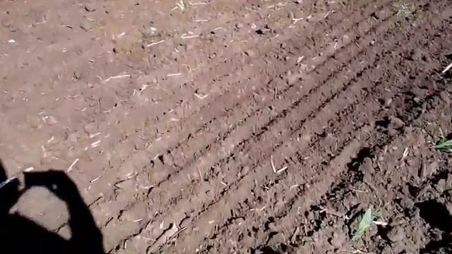 FD: UCAB / DISCING (ДИСКУВАННЯ), September 2017 смотреть онлайн