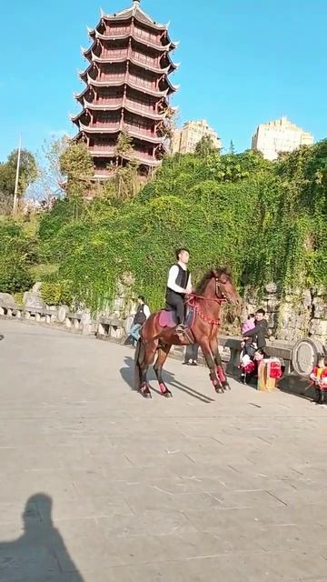 Horse mating cute - Most breeding horse смотреть онлайн