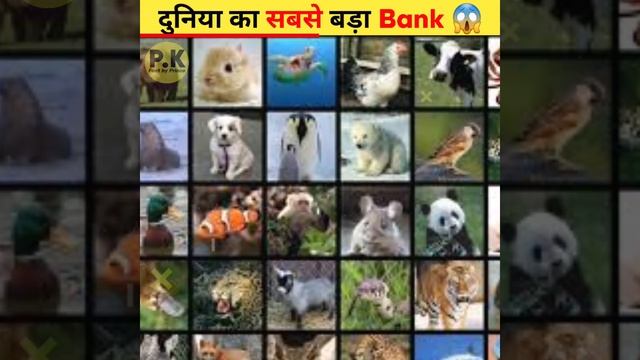 दुनिया का सबसे बड़ा Bank 😱 #fact #short #ytshort