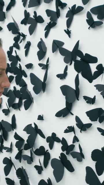 Why are the butterflies black? Visit GOMA during the 'Air' exhibition #shorts смотреть онлайн