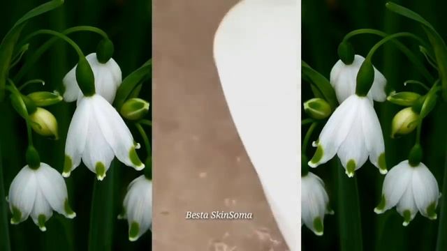 Мощные домашние средства 10 минут, чтобы избавиться от пор #06 смотреть онлайн