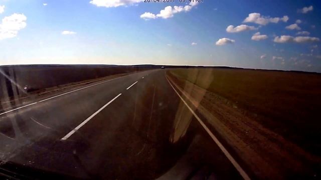 ЛОСЬ в поле!! Справа смотреть онлайн