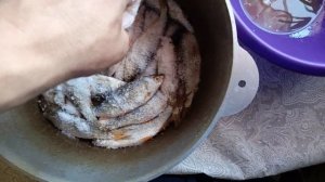 Как правильно солить, вялить рыбу. Сорога, плотва ,окунь.