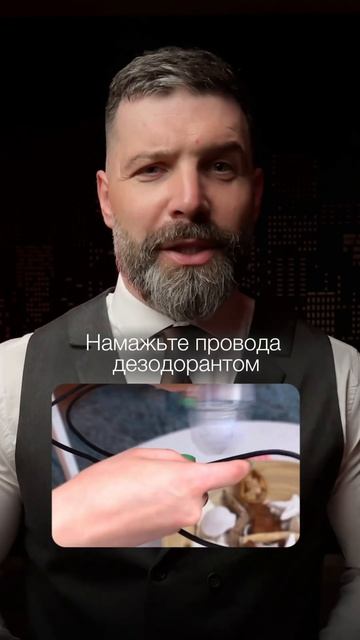 Новая порция лайфхаков для девочек с кошками 😽♥️ #кошки #кот #лайфхаки смотреть онлайн