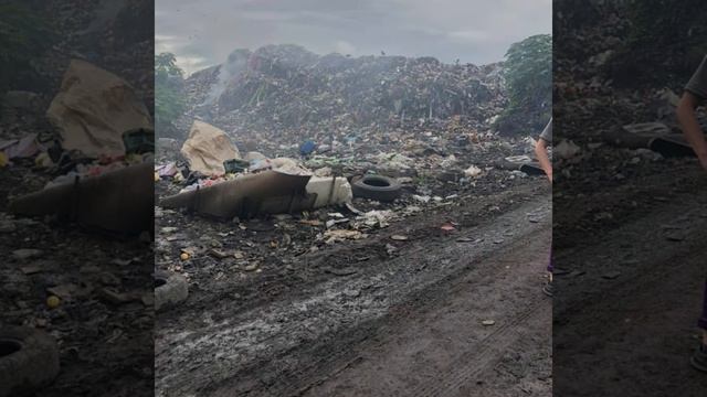 ER Abroad 2021 смотреть онлайн