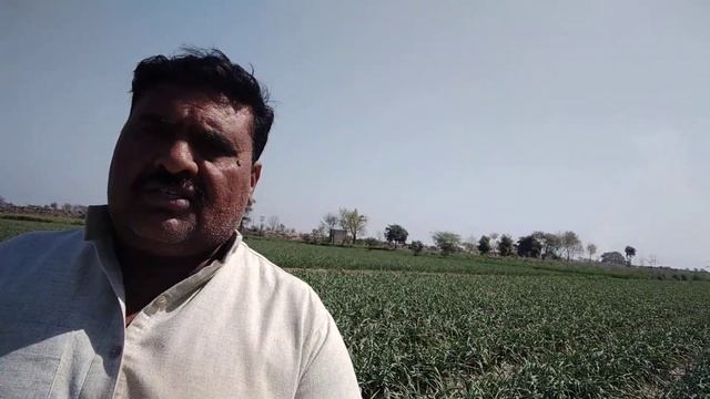 Rao Khalid.03337099452 смотреть онлайн