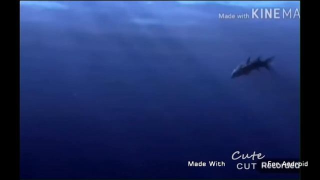 Barracuda (Finding Nemo) Vs. Don Lino