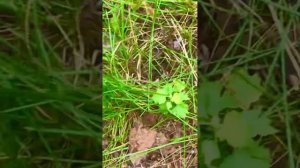 28 августа 2023 г.