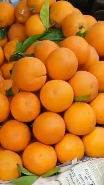 Rich Source Of Vit C/Diabetics Enjoy!#shorts@Delicious Travel And Treat Snaps