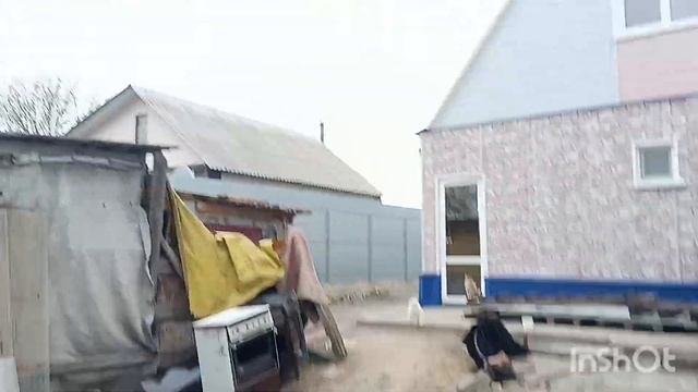 Белгородская область. Сажаем картофель.Поставили парники. Посадили огурцы, кабачки и редис. смотреть онлайн