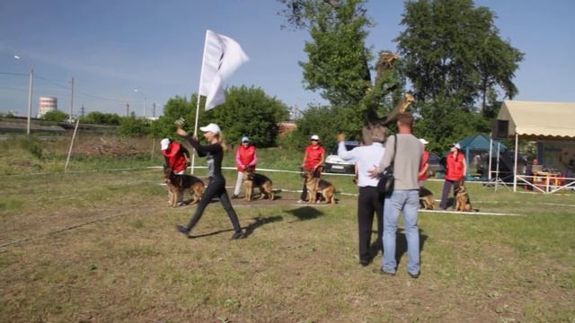 MVI 7955 смотреть онлайн