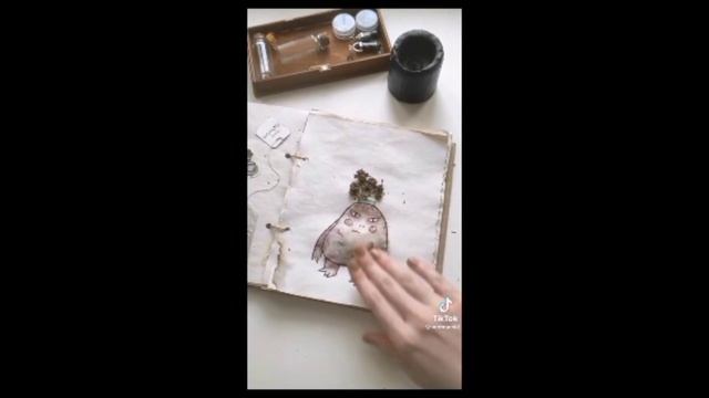 Сборник видео фей, травниц и ведьм из тт.🌿🍀🌼🌱