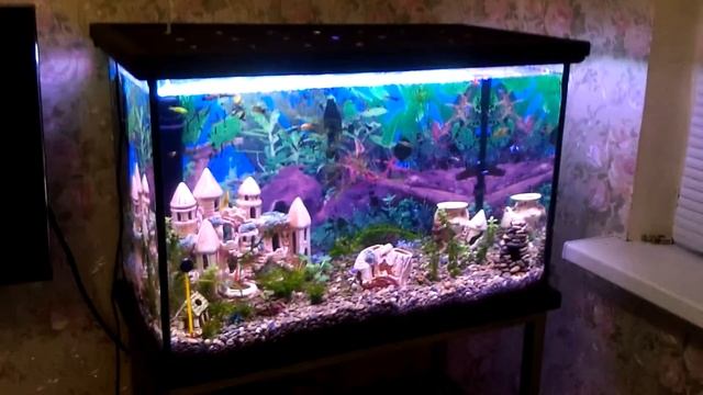 Аквариум 160л своими руками. смотреть онлайн