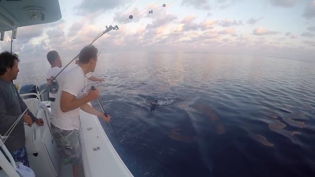 Crosthwait 2016 - Team Seaveeche Warsaw grouper, tuna sunset frenzy, swordfish смотреть онлайн