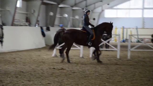 DSC 0852 смотреть онлайн