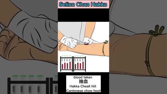 Selina Chan Hakka VLOG 105 視頻博客 一0五