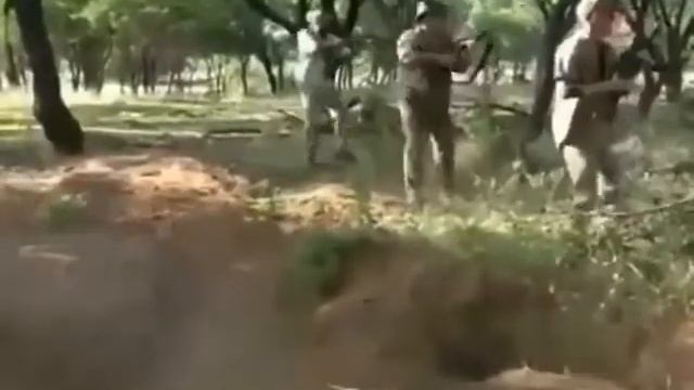 ПРИКОЛЫ
