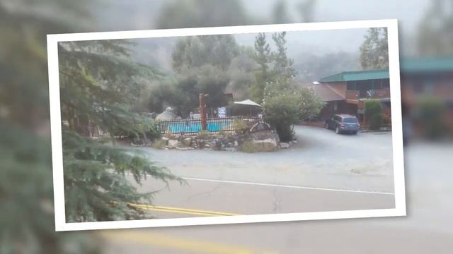 Sequoia camping trip #3 2015