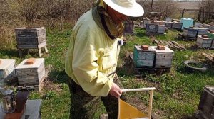 17 апреля работа на пасеке