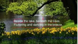 The Daffodils by william wordsworth (hindi explanation)