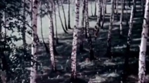 Песня отставного солдата х/ф «Марья - искусница», 1959г.