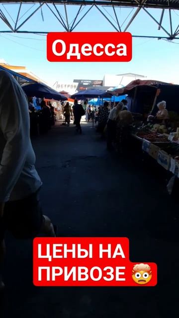 Одесса🤯 ЦЕНЫ НА ПРИВОЗЕ! СМОТРЕТЬ ВСЕМ! смотреть онлайн