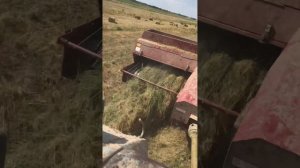 Прес подборщик Тукан 1600 в работе