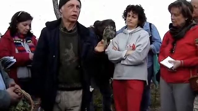 Borragine смотреть онлайн