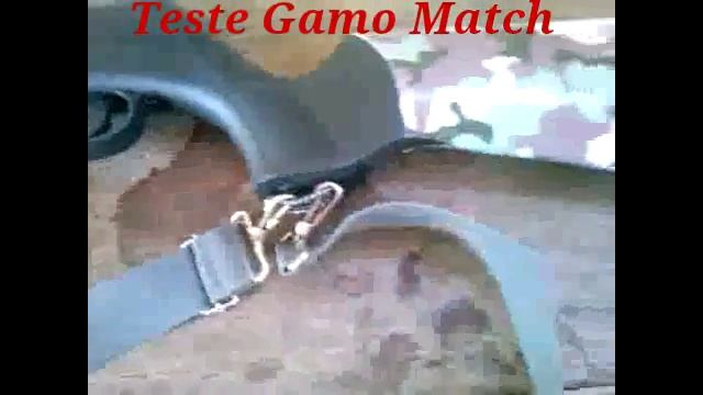 Teste Do Chumbo Gamo Match à 10 Metros Com A Carabina GII Standard 5.5